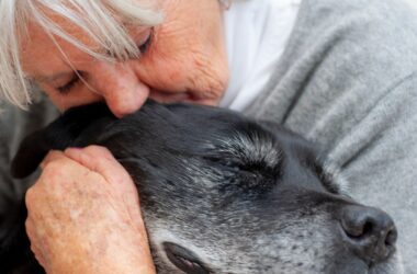 animali da compagnia per anziani