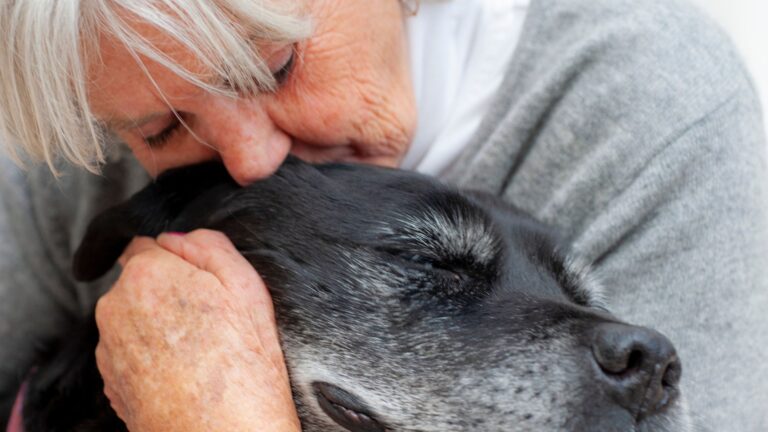 animali da compagnia per anziani