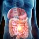 microbiota intestinale